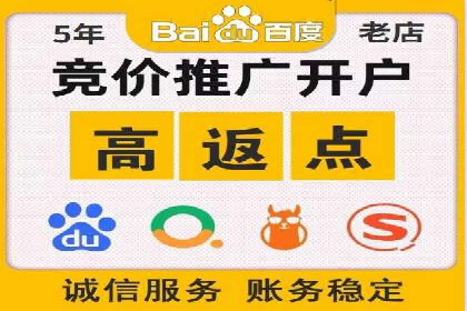 百度推广在电商行业的成功实践